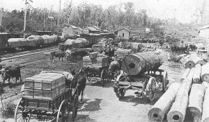 Palmwoods Railway C. 1916