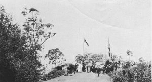 Opening Palmwoods-Montville Road, 1929