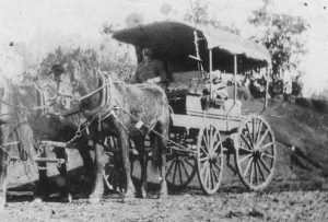 Owen Callaghan with his coach and four horses c.1915