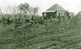 North Maleny Pioneers