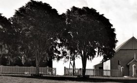 Memorial Trees and Hall